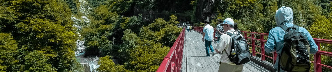 Vier toeristen steken een brug over in een boslandschap